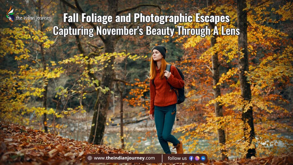 Fall Foliage and Photographic Escapes
