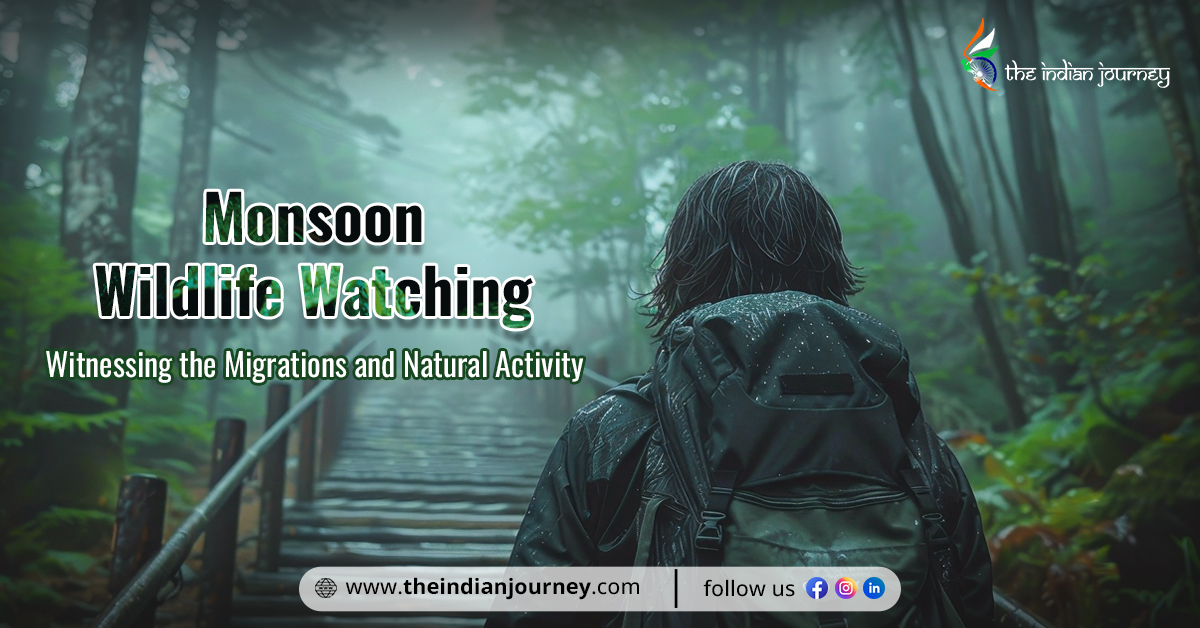 Monsoon-Wildlife-Watching